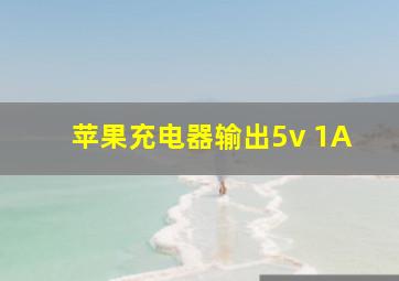 苹果充电器输出5v 1A